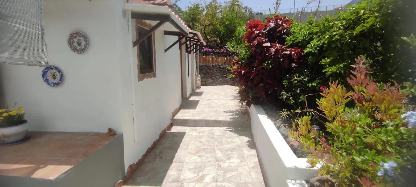 Tatil Evi Charming Canarian House At Villa Lila Puerto de la Cruz